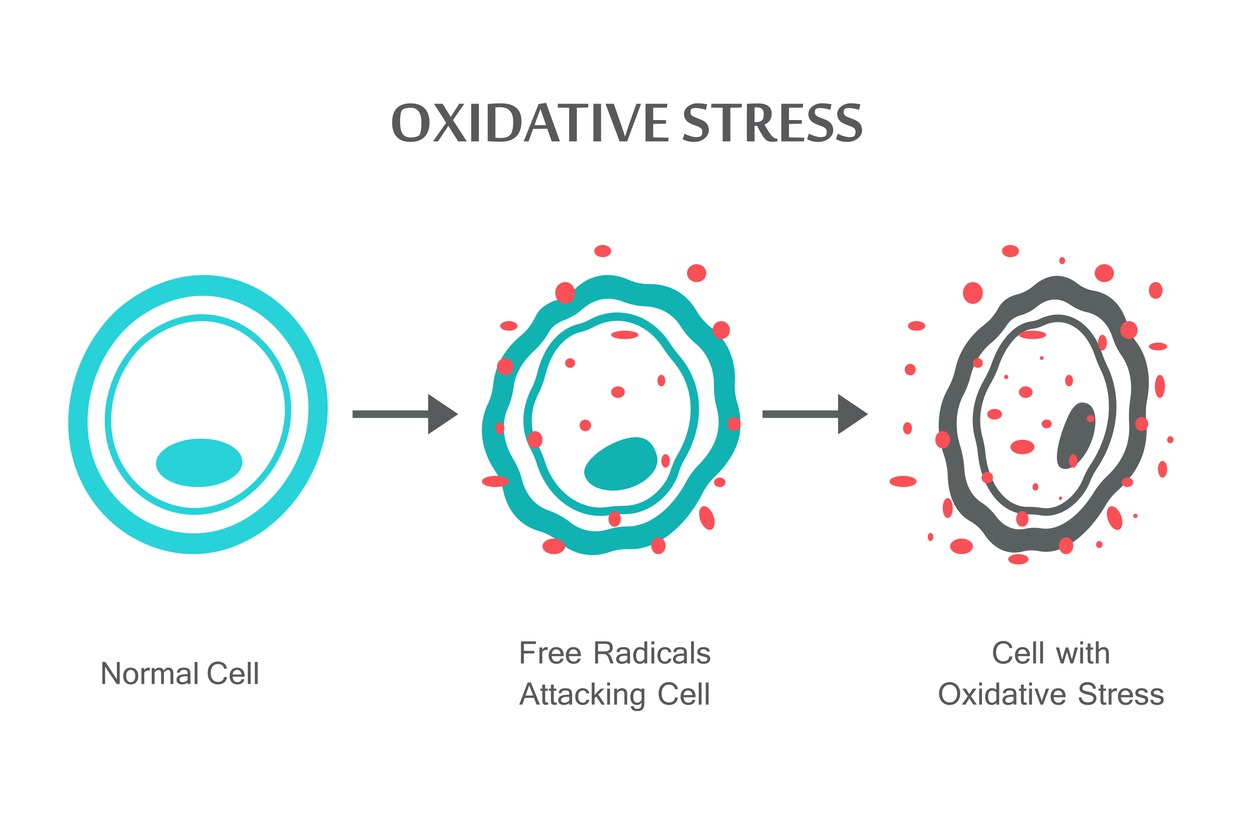 oxidačný stres