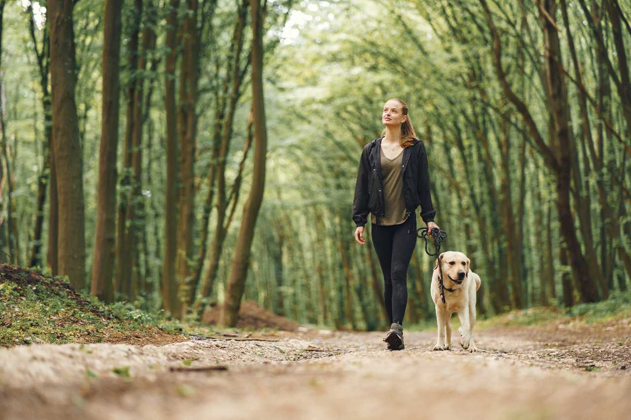 koľko krokov denne žena na prechádzke v lese so psom