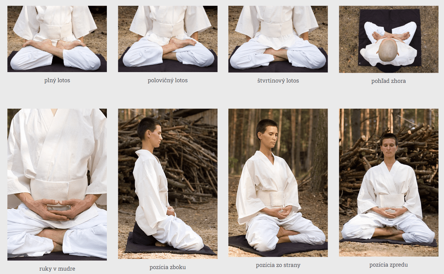 zenová meditácia, Zenová meditácia: Zen terapia alebo ako pochopiť samého seba